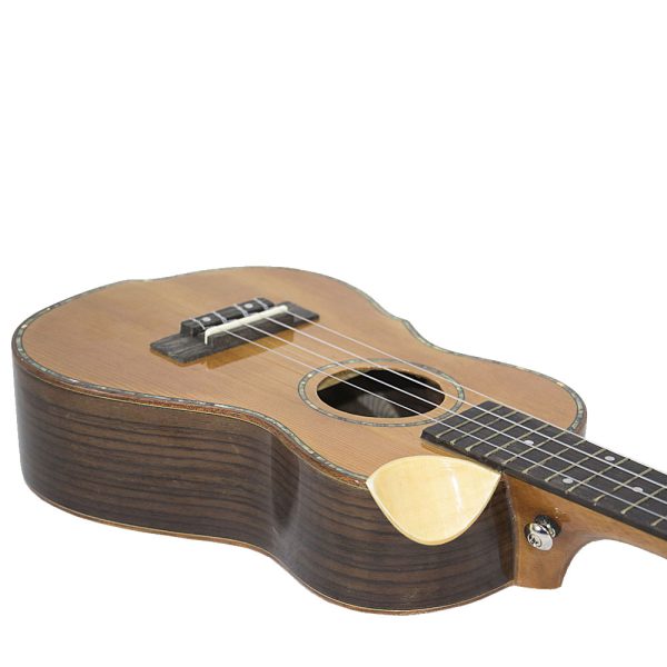 گیتار اوکو‌له‌له والنسیا مدل A-KYHG-24