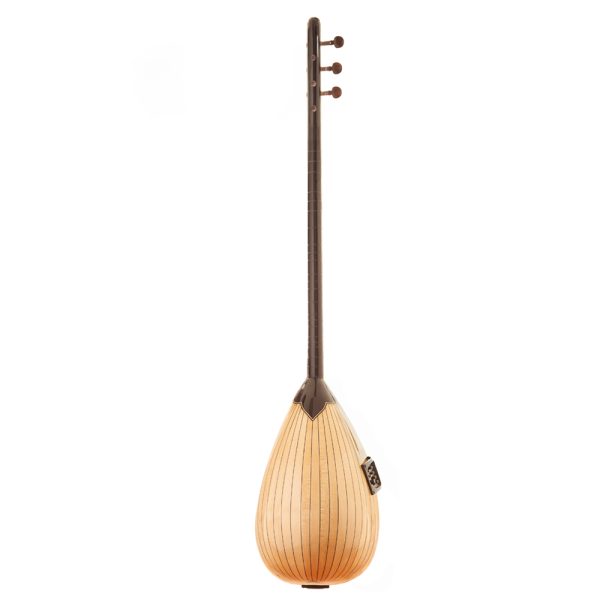 Cakir saz الکترو باغلاما چاکر ساز 2