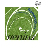 سیم گیتار فلامنکو گالی مدل GR100