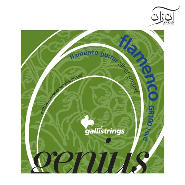 سیم گیتار فلامنکو گالی مدل GR100