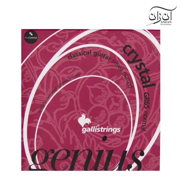 سیم گیتار کلاسیک گالی مدل GR65
