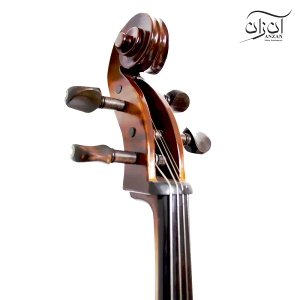 ویولنسل رودریش پزولد