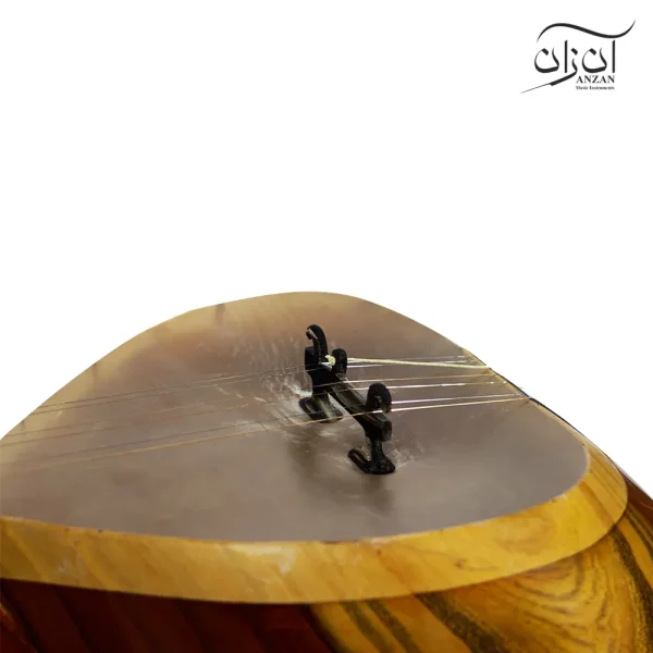 تار شهنواز