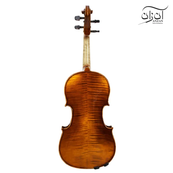 ویولن تی اف مدل ۰۰۸۰۰