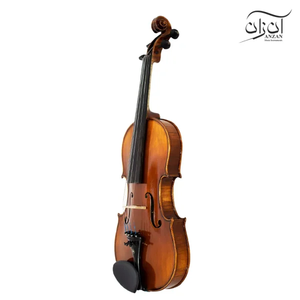 ویولن تی اف مدل ۰۰۸۰۰