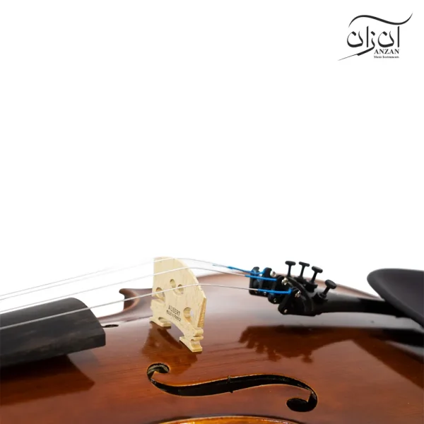 ویولن تی اف مدل ۰۰۸۰۰