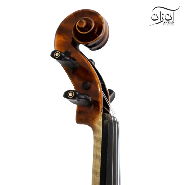 ویولن تی اف مدل ۰۰۸۰۰