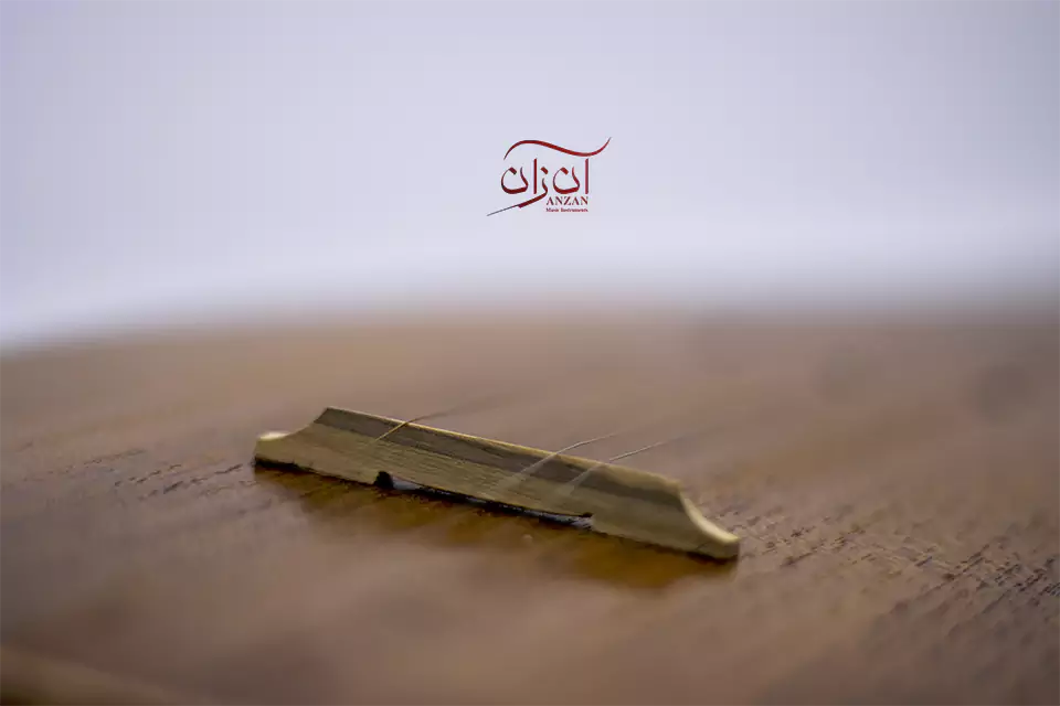 تنبور ملکی