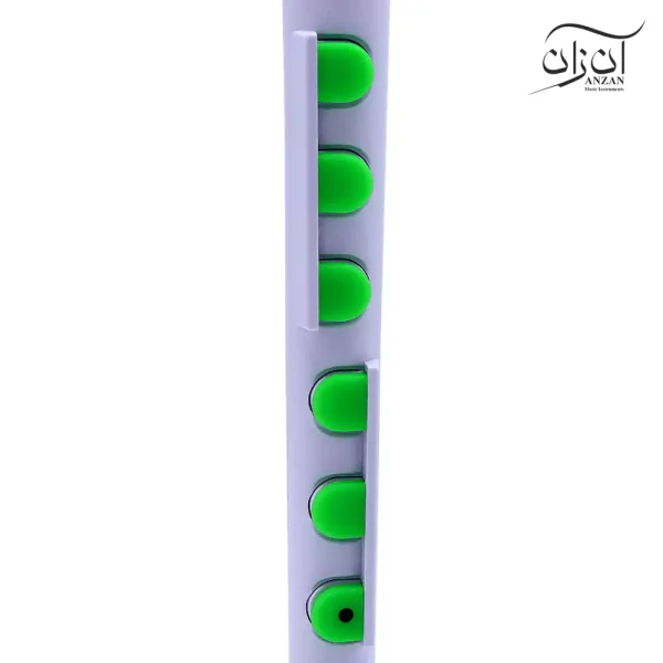 فلوت ریکوردر پلاس