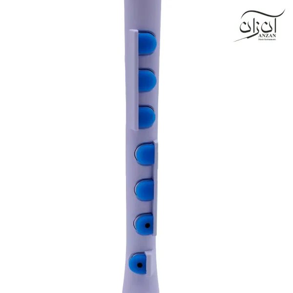 فلوت ریکوردر پلاس