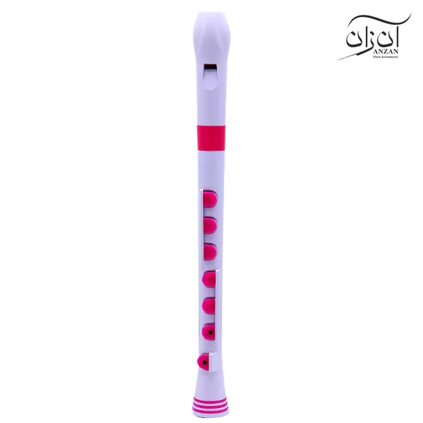 فلوت ریکوردر پلاس