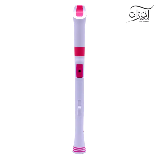 فلوت ریکوردر پلاس