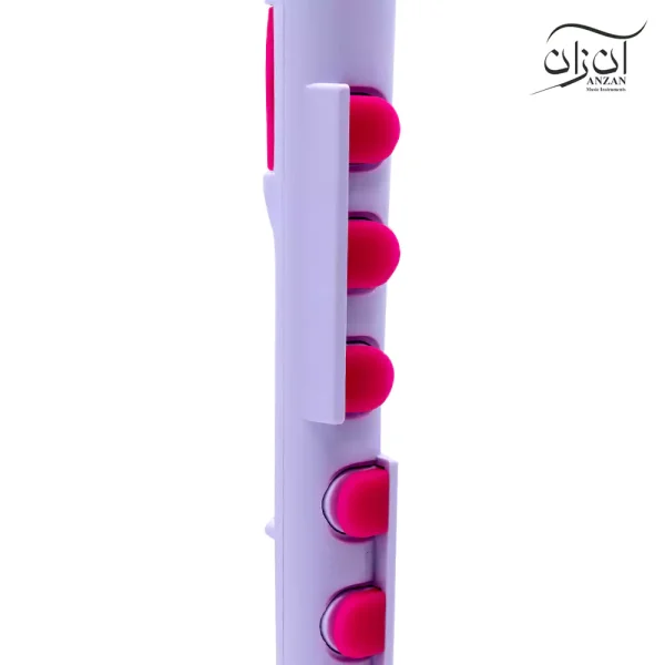فلوت ریکوردر پلاس