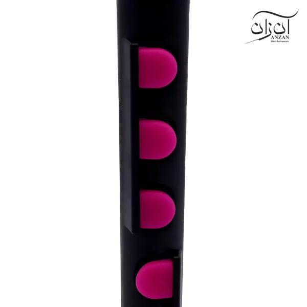 فلوت ریکوردر پلاس